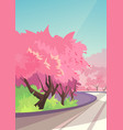 cherry blossoms along road vector image
