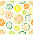 citrus seamless background vector image