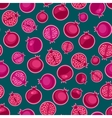 pomegranates seamless pattern vector image