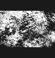 black grainy texture isolated on white vector image