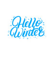hello winter hand written lettering quote vector image vector image