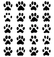 print of cats paws vector image vector image