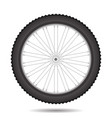 bicycle wheel icon vector image