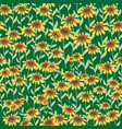 garden rudbeckia flower seamless pattern vector image