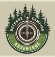 vintage summer adventure round emblem vector image vector image
