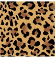 leopard skin pattern vector image