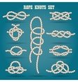 rope knots set vector image