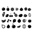 black fruit icons vector image