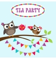 tea party invitation with cute owls vector image