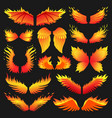 flame bird fire wings fantasy feather burning vector image
