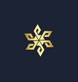 circle abstract geometry mandala gold logo vector image