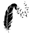 feather and birds black white vector image vector image