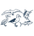 marine fauna set monochrome emblems vector image vector image