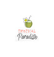 tropical summer background with cute cartoon items vector image vector image