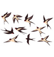 colorful flying swallows flat set vector image