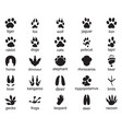 set of footprints wild animals vector image
