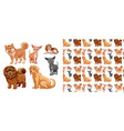 seamless and isolated animal pattern cartoon vector image
