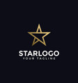 luxury abstract gold star logo design template vector image vector image