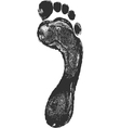 grey carbon foot print vector image vector image