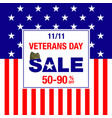 veterans day sale banner vector image