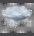 cloud and rain drops on transparent background vector image