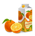 juice pack orange vector image vector image