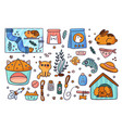 pets accessories cute animals and different care vector image vector image