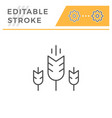 wheat line icon vector image vector image
