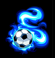 burning soccer ball vector image vector image