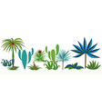 set of different tropical plants vector image
