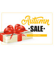 autumn sale lettering in frame and dollar bills vector image