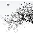 branches vector image