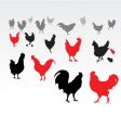chicken life vector image