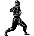 ninja fighter - vinyl-ready vector image