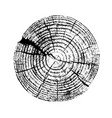 distressed overlay texture rough surface old vector image