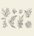 forest bouquets floral arrangements vector image vector image