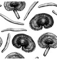 reishi mushrooms background hand-sketched vector image vector image