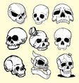 skulls vector image vector image