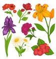 flowers blooms flat isolated icons set vector image