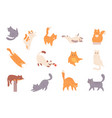 cat behavior feline poses cartoon cats vector image