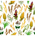 grains and cereals seamless pattern vector image