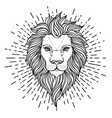 ornate lion head over sacred geometry african vector image vector image