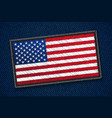usa flag patch vector image