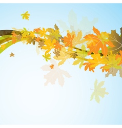 Maple autumn background Royalty Free Vector Image