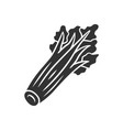 celery glyph icon vector image