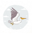 pelican vector image