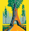chandelier tree in drive threw park within vector image vector image