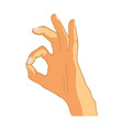 cartoon hand in ok gesture on white vector image vector image