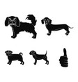 dog animal domestic and other web icon in black vector image