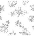 orchid seamless pattern vector image